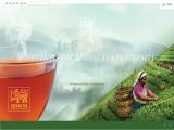 Sri Lanka Tea Board Government Of Sri Lanka usd