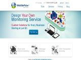 Monitoring Service by Websitepulse internet server