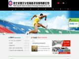 Hebei Cangshi Culture & Sports Equipment cheap tennis