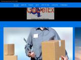 Welcome to GoDelEx Logistics auto housing mold