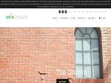 Loco Cycles bicycle frame