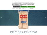 Callipo Giacinto Conserve Alimentari S.P.A. 4th gen