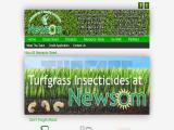 Newsom Seed mondo grass