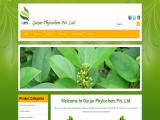 Gurjar Phytochem amla