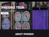 Iphoenix Intl Corp intl