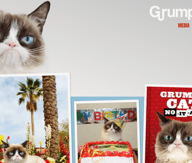 Grumpy Cat followers