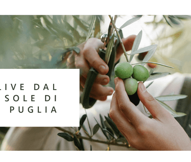 Di Lecce Nicola Srl anchovies olives