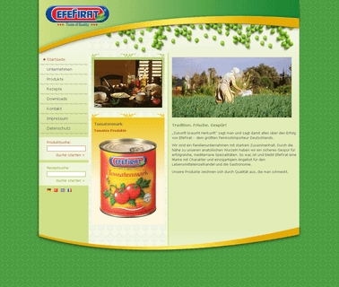 Ferpa Gida Sanayi Ihracat Ve Ithalatsti turkey tomato
