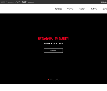 Wolong Electric Group motors fractional