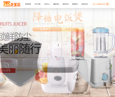 Torme Electrical Appliances appliances steamer