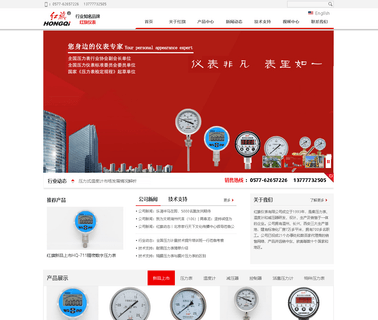 Hongqi Instrument Changxing controller flowmeter