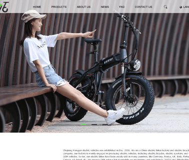 Hangzhou Hangpai Electric Vehicle electric tricycle scooter