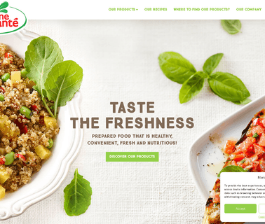 Fountain of Health vegetarian