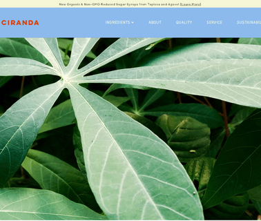 Ciranda bulk raw honey