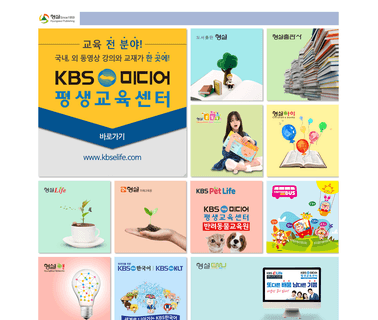 Hsn Hyungseul Networks memories