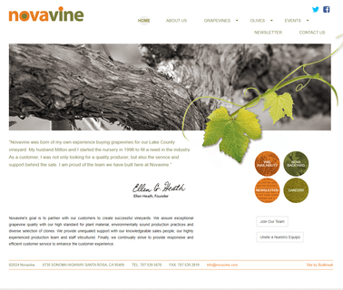 Novavine grapevines and rootstock
