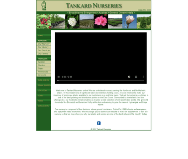 The Tankard Nurseries bamboo trees