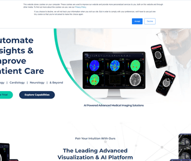 Terarecon medical workflow