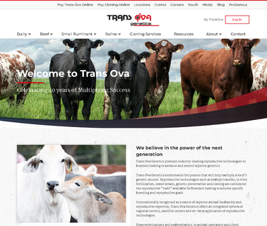 Trans Ova Genetics deep transfer