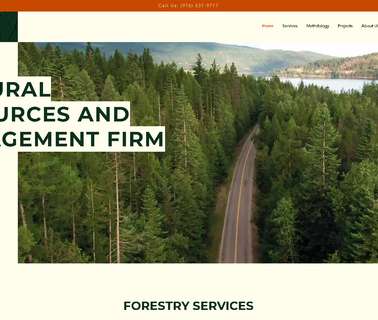 Tremaine & Associates  dixon