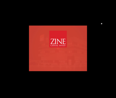 Zine Capital Invest rice