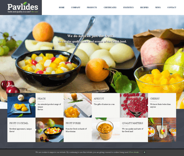 Home - Pavlides Group industry model product
