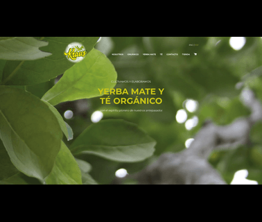 Home - Kraus S.A organic ice tea