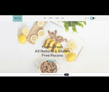 Molly and Me Pecans pecans gourmet