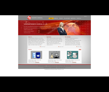 Dongying Shengya Chemical chemical dongying