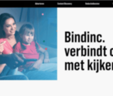 Bindinc. Programme Data Services custom met