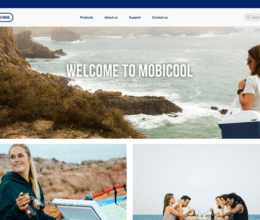 Mobicool International giftware