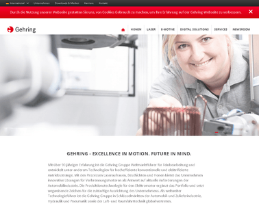 Gehring Technologies India Pvt.Ltd lapping polishing