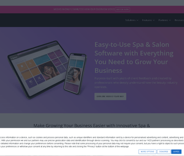 Millennium Systems International millennium
