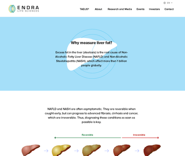 Endra Life Sciences medical ultrasound