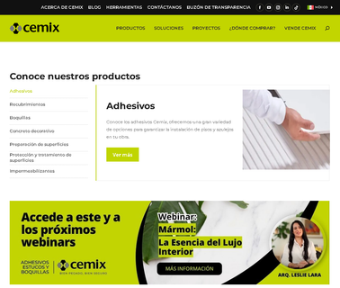 Cemixsa De Cv tile sealers