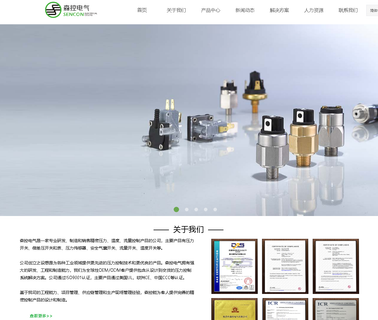 Yueqing Sencon Electrical vacuum transmitter