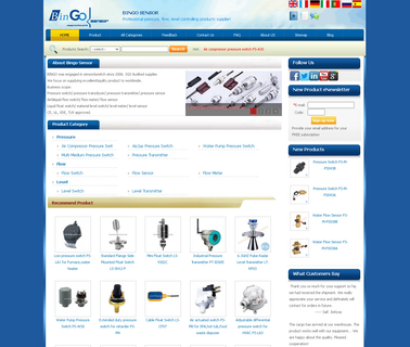 Wenzhou Bingo level transmitter switch
