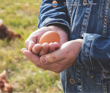 Egg Innovations/Blue Sky Family Farms bulk raw food