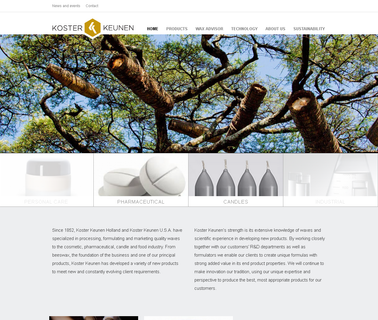 Koster Keunen Holland Bv waxes home