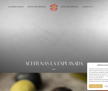 Aceitunas Cazorla; Fabricantes Y Proveedores somos