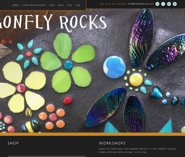 Dragonfly Rocks equipment ocean
