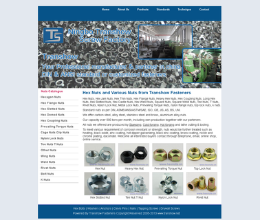 Ningbo Transhow Screw metal anchor screw