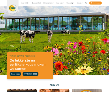 Cono Beemster cheese dutch