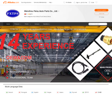 Wenzhou Feixu Auto Parts oem fuel