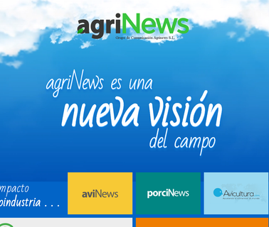 Agrinews / Avinews campo del