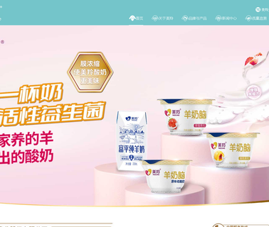 Shaanxi Hongxing Meiling Dairy children lady