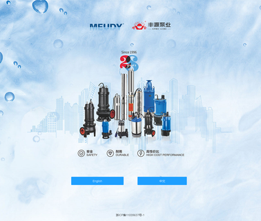 Zhejiang Fengyuan Pump Industry submersible motor pump