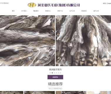 Hebei Hengxing Fu & Leather oil leather