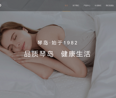 Qingdao Qindao Electric Appliance woven wire fabric