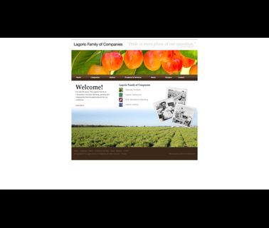 Lagorio Family Of Companies companies